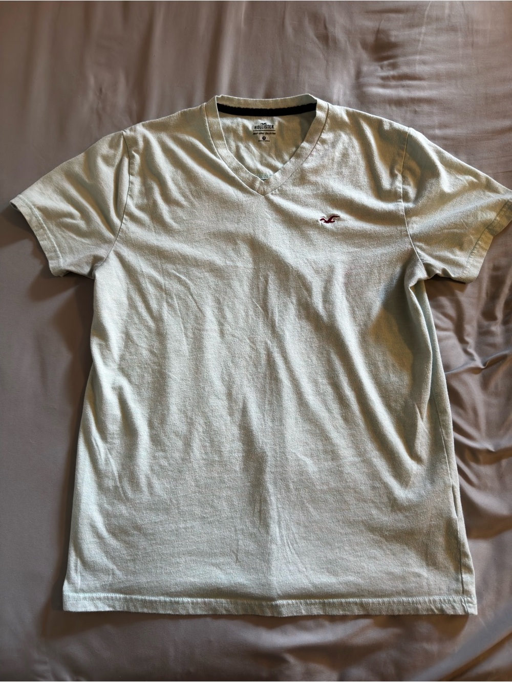 Hollister Men's V-Neck T-Shirt in Pale Mint with Red Logo